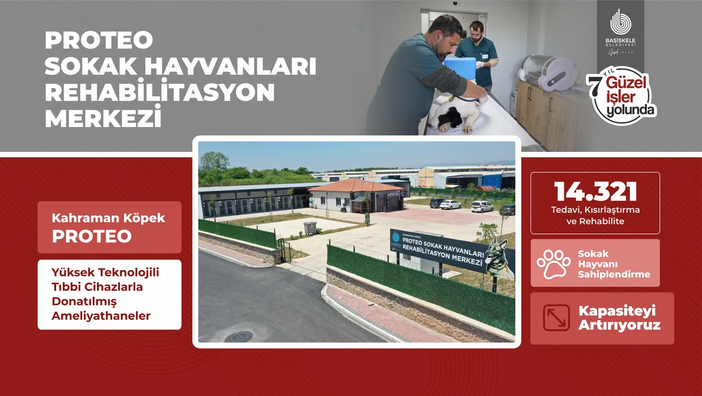 Proteo Sokak Hayvanları Rehabilitasyon Merkezi — sunum görseli